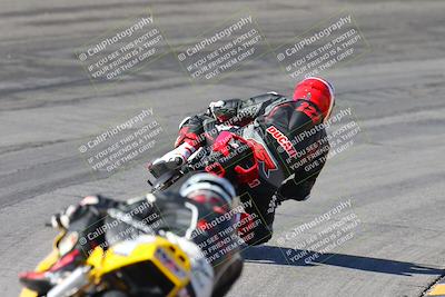 media/Feb-04-2024-SoCal Trackdays (Sun) [[91d6515b1d]]/4-Bowl Backside (11am)/